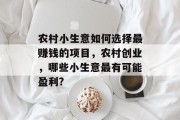 农村小生意如何选择最赚钱的项目,农村创业,哪些小生意最有可能盈利? 农村小生意如何选择最赚钱的项目,农村创业,哪些小生意最有可能盈利?