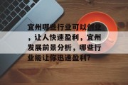 宜州哪些行业可以创业,让人快速盈利,宜州发展前景分析,哪些行业能让你迅速盈利?