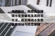 寻找商机,揭露商业赚钱小生意骗局及其防范方法,商业赚钱小生意骗局揭秘与防范策略 寻找商机,揭露商业赚钱小生意骗局及其防范方法,商业赚钱小生意骗局揭秘与防范策略