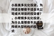 小而美多元化投资，为何适合那些不适合大公司或大项目的投资者？，小规模多元化投资，为什么是那些不太适合传统大型机构的投资方式