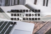 探讨新疆哪些小生意赚得最多?,新疆小生意赚钱多,如何发掘其中商机 探讨新疆哪些小生意赚得最多?,新疆小生意赚钱多,如何发掘其中商机