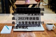 今年小生意做什么赚钱呢?——一份全面的指南,2023年创业指南,小生意有哪些可行的盈利模式