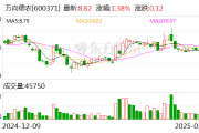 万向德农:聘任谢杨为公司财务负责人
