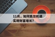 11月,如何抓住机遇实现财富增长? 11月,如何抓住机遇实现财富增长?