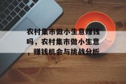 农村集市做小生意赚钱吗，农村集市做小生意，赚钱机会与挑战分析