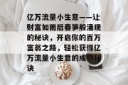 亿万流量小生意——让财富如雨后春笋般涌现的秘诀，开启你的百万富翁之路，轻松获得亿万流量小生意的成功秘诀