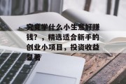 究竟学什么小生意好赚钱?,精选适合新手的创业小项目,投资收益显著 究竟学什么小生意好赚钱?,精选适合新手的创业小项目,投资收益显著
