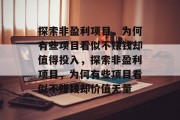 探索非盈利项目,为何有些项目看似不赚钱却值得投入,探索非盈利项目,为何有些项目看似不赚钱却价值无量 探索非盈利项目,为何有些项目看似不赚钱却值得投入,探索非盈利项目,为何有些项目看似不赚钱却价值无量