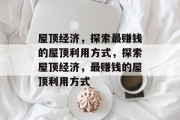 屋顶经济,探索最赚钱的屋顶利用方式,探索屋顶经济,最赚钱的屋顶利用方式