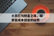 小苏打与财富之路，探索低成本创业的秘密