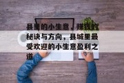 县里的小生意,赚钱的秘诀与方向,县城里最受欢迎的小生意盈利之道