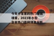 今年小生意的热门赚钱项目,2023年小型企业热门盈利项目分析 今年小生意的热门赚钱项目,2023年小型企业热门盈利项目分析