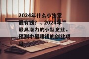 2024年什么小生意最有钱?,2024年最具潜力的小型企业,预测中最赚钱的创业项目