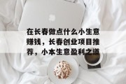 在长春做点什么小生意赚钱，长春创业项目推荐，小本生意盈利之道