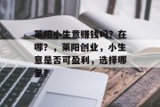 莱阳小生意赚钱吗？在哪？，莱阳创业，小生意是否可盈利，选择哪里？