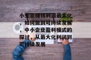 小生意赚钱利润最大化，如何做到可持续发展，中小企业盈利模式的探讨，从最大化利润到可持续发展