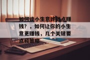如何谈小生意好做点赚钱?,如何让你的小生意更赚钱,几个关键要点和策略 如何谈小生意好做点赚钱?,如何让你的小生意更赚钱,几个关键要点和策略