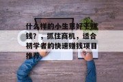 什么样的小生意好干赚钱?,抓住商机,适合初学者的快速赚钱项目推荐 什么样的小生意好干赚钱?,抓住商机,适合初学者的快速赚钱项目推荐