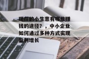 现在的小生意有哪些赚钱的途径?,中小企业如何通过多种方式实现盈利增长 现在的小生意有哪些赚钱的途径?,中小企业如何通过多种方式实现盈利增长