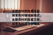 合肥农村的致富之路,探索农村赚钱新模式,合肥农村的致富之路,探索农村赚钱新模式 合肥农村的致富之路,探索农村赚钱新模式,合肥农村的致富之路,探索农村赚钱新模式