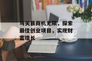 马关县商机无限，探索最佳创业项目，实现财富增长