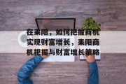 在耒阳,如何把握商机实现财富增长,耒阳商机把握与财富增长策略
