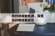 农村创业新机遇,探索农村赚钱新途径 农村创业新机遇,探索农村赚钱新途径