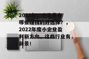 2022年,小生意有哪些赚钱的好选择?,2022年度小企业盈利新方向,这些行业有前景! 2022年,小生意有哪些赚钱的好选择?,2022年度小企业盈利新方向,这些行业有前景!