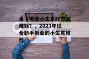 当下哪些小生意好做且赚钱?,2023年适合新手创业的小生意推荐 当下哪些小生意好做且赚钱?,2023年适合新手创业的小生意推荐