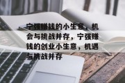 宁强赚钱的小生意,机会与挑战并存,宁强赚钱的创业小生意,机遇与挑战并存