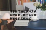 咸宁如何通过多种方式实现盈利，咸宁多元盈利策略的实现方式