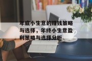 年底小生意的赚钱策略与选择，年终小生意盈利策略与选择分析