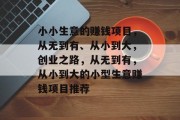 小小生意的赚钱项目，从无到有、从小到大，创业之路，从无到有，从小到大的小型生意赚钱项目推荐