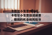 卡塔尔小生意赚钱吗,卡塔尔小生意投资前景,赚钱的机会和风险分析