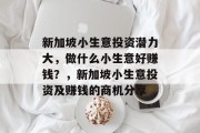 新加坡小生意投资潜力大,做什么小生意好赚钱?,新加坡小生意投资及赚钱的商机分享