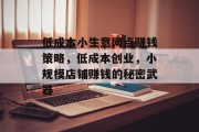 低成本小生意网点赚钱策略,低成本创业,小规模店铺赚钱的秘密武器 低成本小生意网点赚钱策略,低成本创业,小规模店铺赚钱的秘密武器