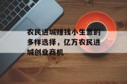 农民进城赚钱小生意的多样选择,亿万农民进城创业商机