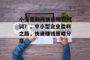 小生意如何快速赚取利润？，中小型企业盈利之路，快速赚钱策略分享