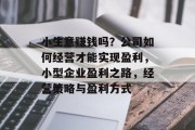 小生意赚钱吗?公司如何经营才能实现盈利,小型企业盈利之路,经营策略与盈利方式 小生意赚钱吗?公司如何经营才能实现盈利,小型企业盈利之路,经营策略与盈利方式