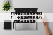 如何看小生意是否赚钱?,小生意的赚钱能力,深度分析与策略 如何看小生意是否赚钱?,小生意的赚钱能力,深度分析与策略