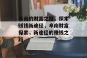 阜南的财富之路,探索赚钱新途径,阜南财富探索,新途径的赚钱之路