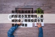 如何在县城里选择合适的投资小生意赚钱,县城创业,寻找投资小生意的好项目 如何在县城里选择合适的投资小生意赚钱,县城创业,寻找投资小生意的好项目
