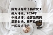 国海证券给予扬农化工买入评级,2024年中报点评:经营受农药周期影响,葫芦岛一期一阶段试生产
