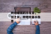 种地赚钱的小生意,一技之长,种地致富小生意 种地赚钱的小生意,一技之长,种地致富小生意