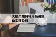 大账户如何利用投资策略实现盈利 大账户如何利用投资策略实现盈利