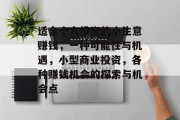适合个人投资的小生意赚钱，一种可能性与机遇，小型商业投资，各种赚钱机会的探索与机会点
