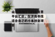 山东济南赚钱的小生意平台汇总,在济南寻找适合自己的小本创业项目 山东济南赚钱的小生意平台汇总,在济南寻找适合自己的小本创业项目
