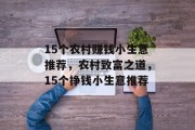 15个农村赚钱小生意推荐,农村致富之道,15个挣钱小生意推荐 15个农村赚钱小生意推荐,农村致富之道,15个挣钱小生意推荐