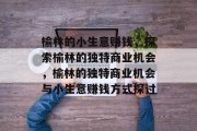 榆林的小生意赚钱，探索榆林的独特商业机会，榆林的独特商业机会与小生意赚钱方式探讨