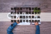 如何选择一个有利可图的小生意,视频最多的行业,最佳小生意,从视频流量中寻找盈利机会